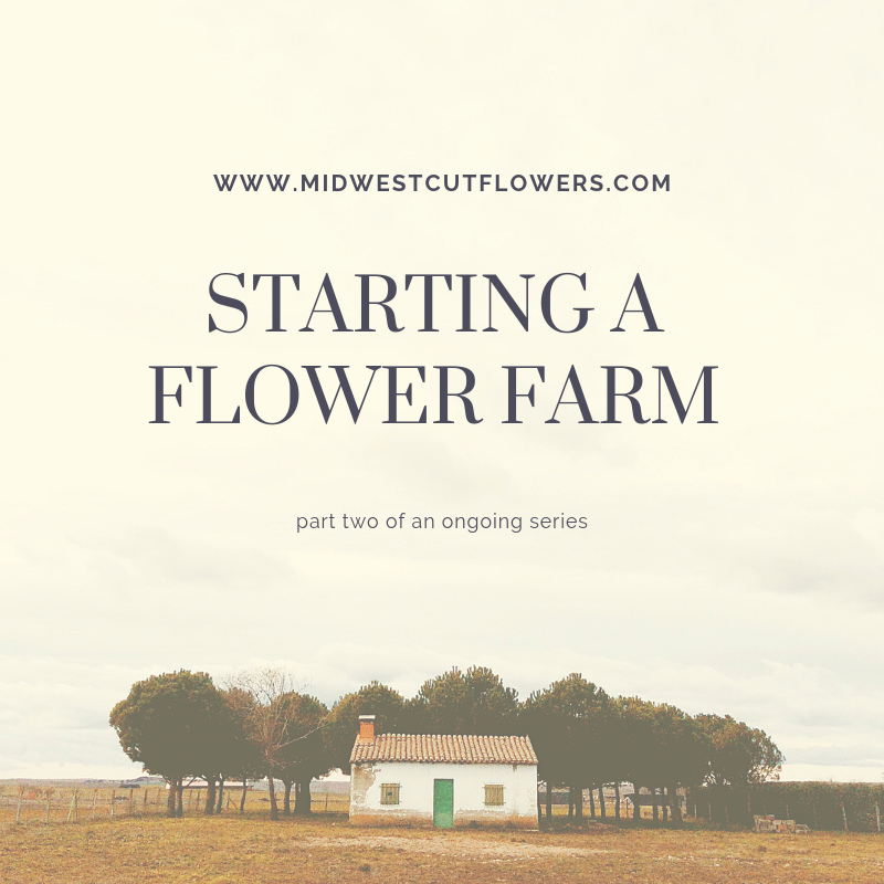 Starting a flower farm part 2