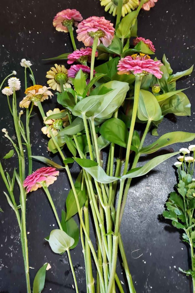 Making flower bouquets for the market is one of my favorite parts of growing cut flowers. Do you like flowers? Make a bouquet! It is a great creative outlet