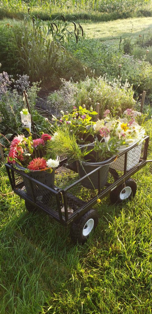 farmers market flowers