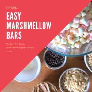 Easy Marshmellow bars ingredients