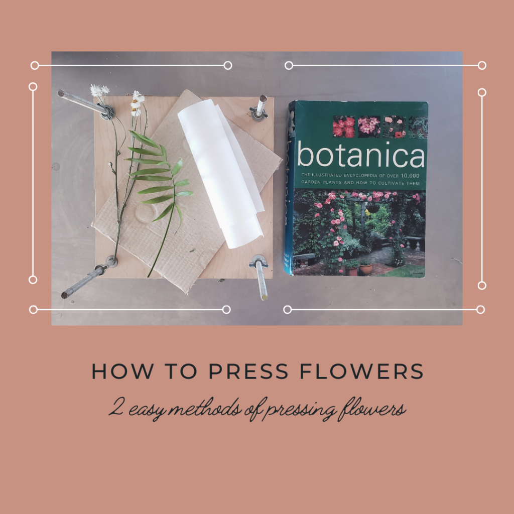 How to press flowers. Supplies and headings