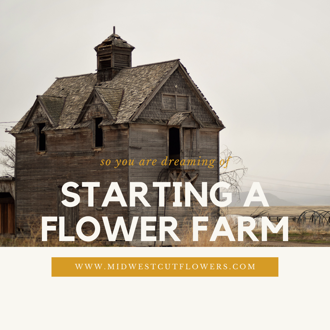 Starting a flower farm