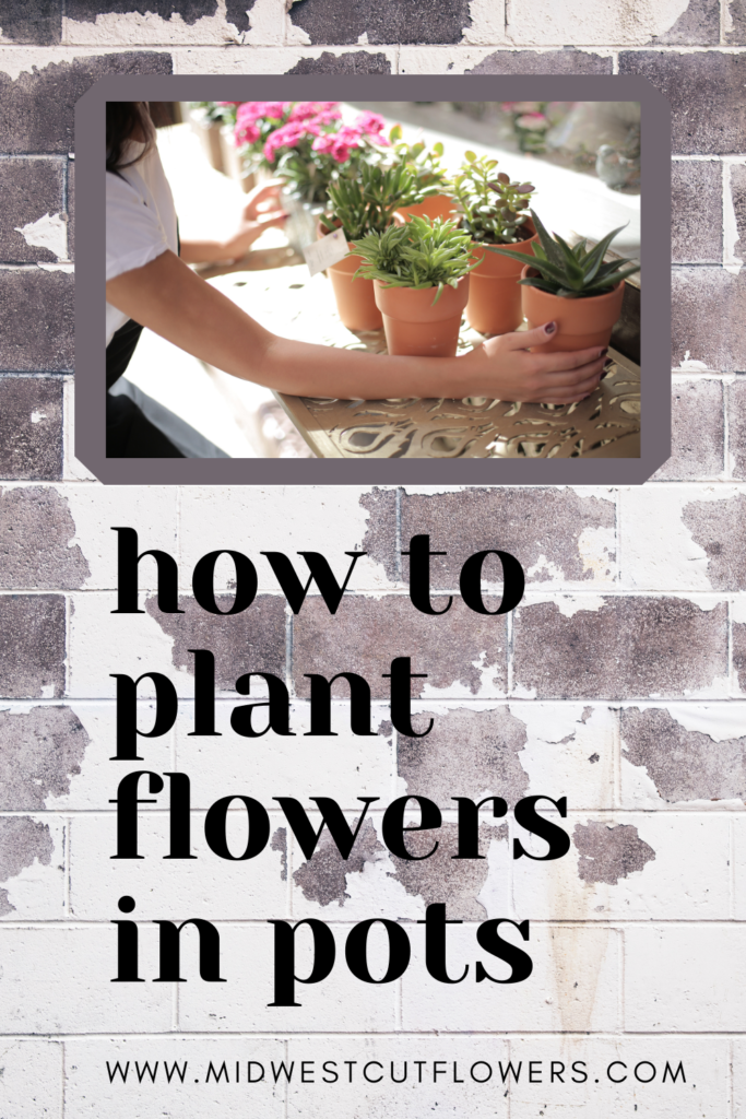 how to plant flowers in potsw