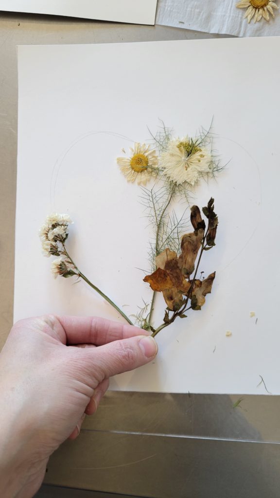 placing pressed flowers on paper