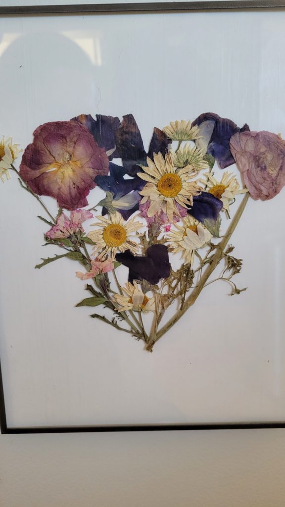 pressed flowers on paper