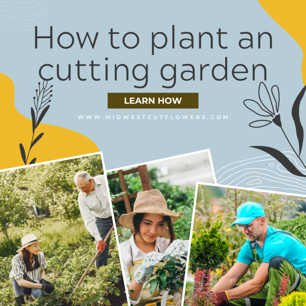 Planting a cutting garden.