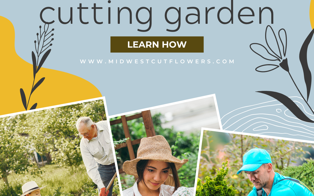 How to plant a cutting garden