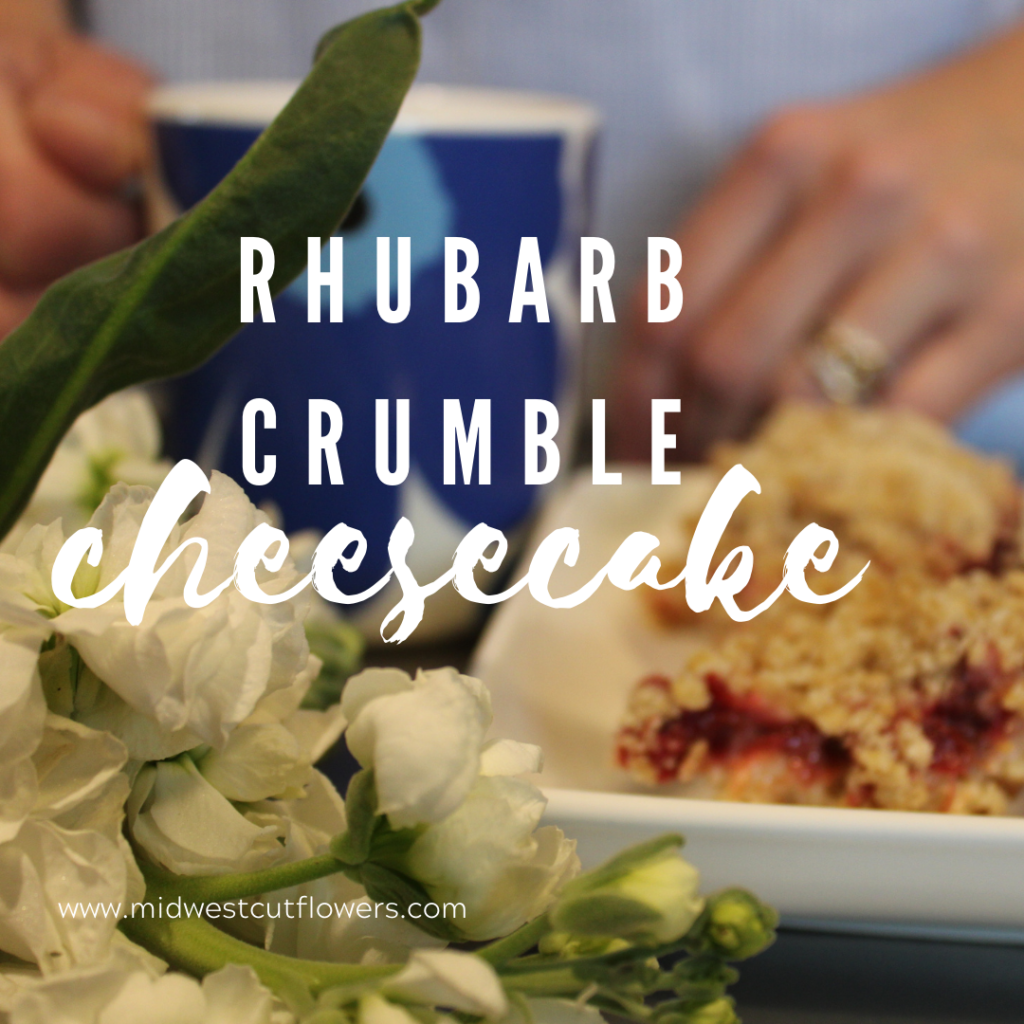 rhubarb crumble on a plate