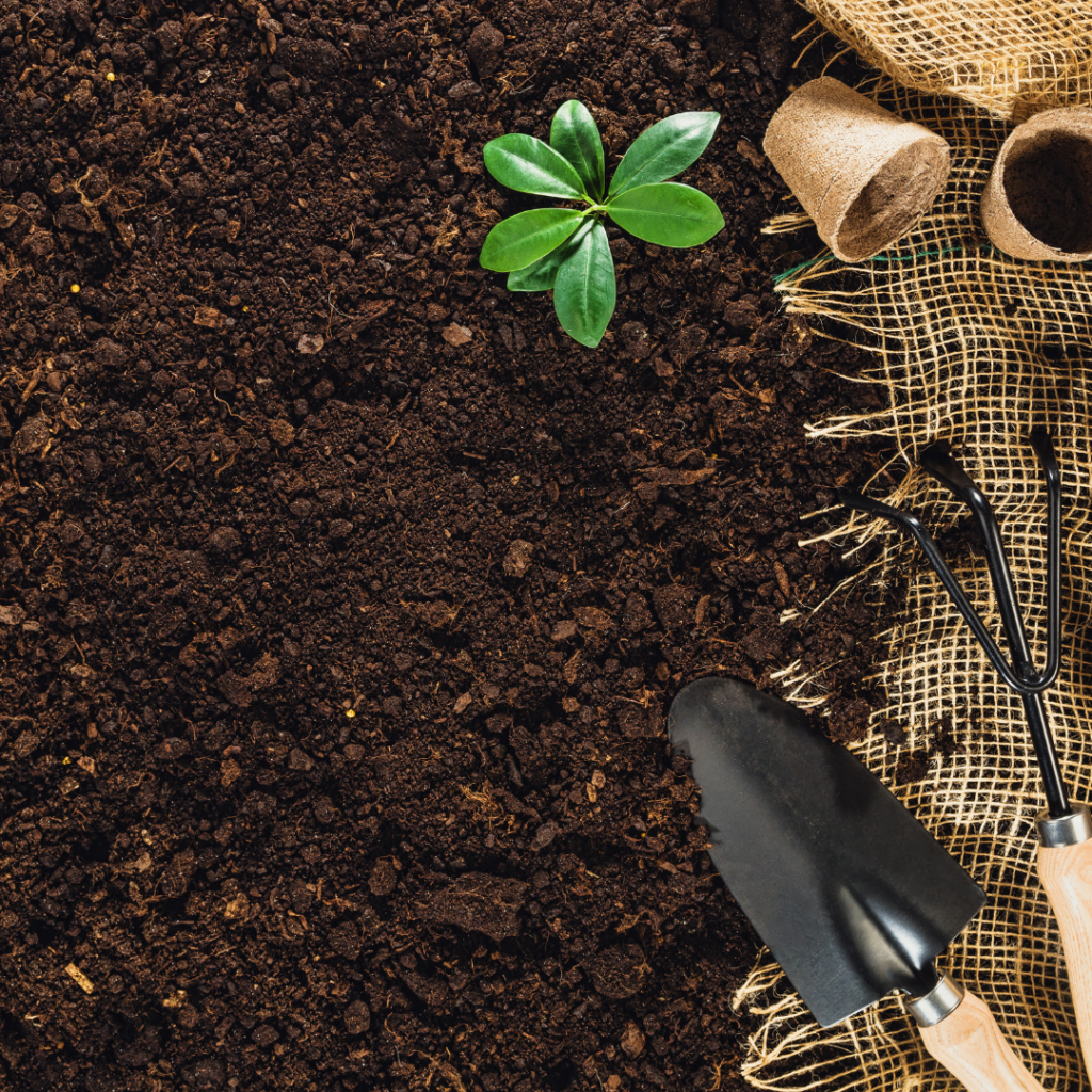 Up close photo of garden soil