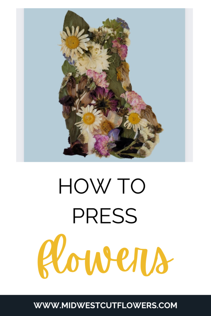 How to use pressed flowers art tutorial. 