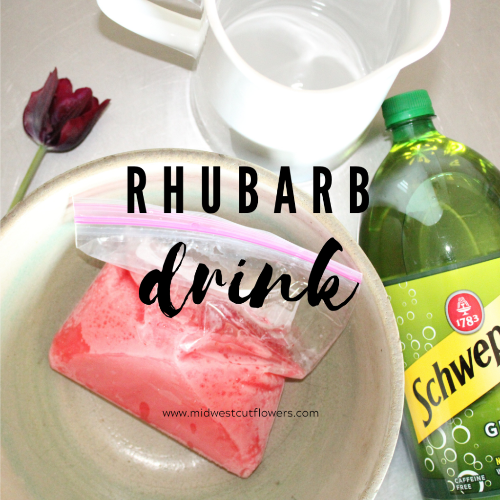 Rhubarb drink thawing in bowl