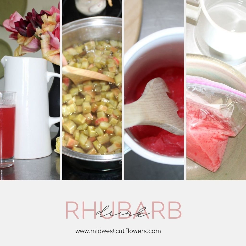 Cover photo for rhubarb drink.
