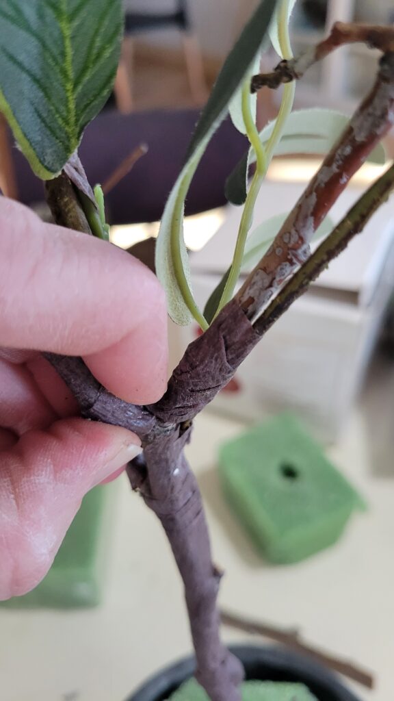 pressing floral tape on a branch
