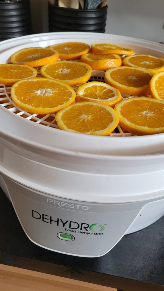 Sliced oranges in a presto dehydrator.