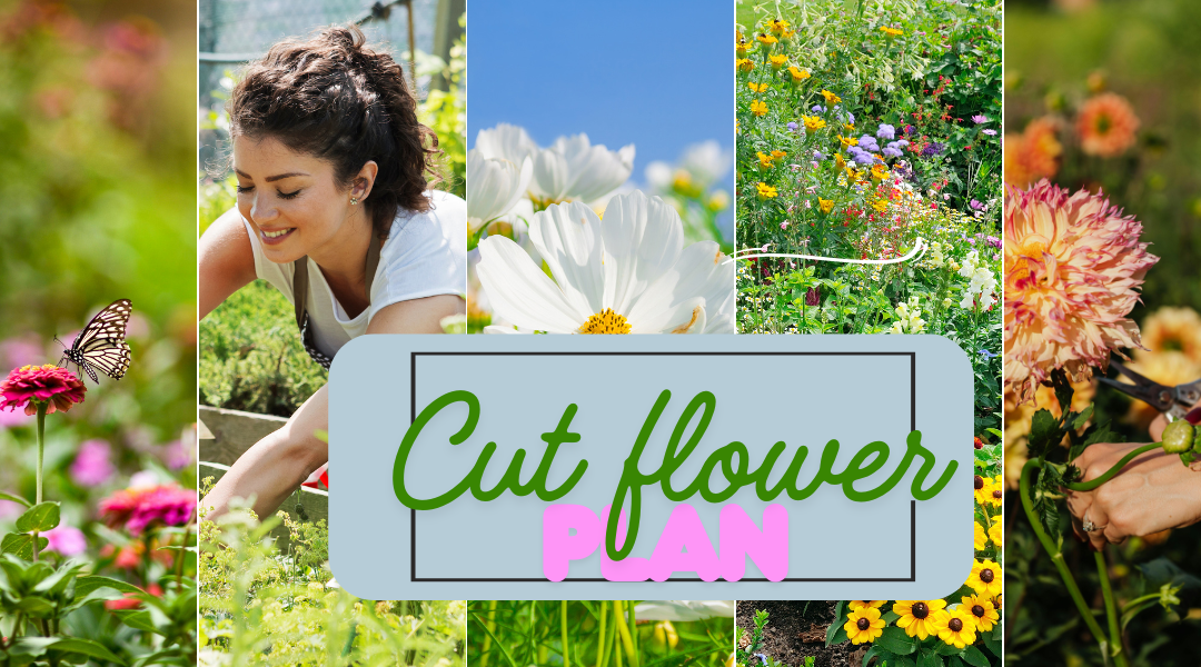 grow you own beautiful blooms: the ultimate cut flower garden