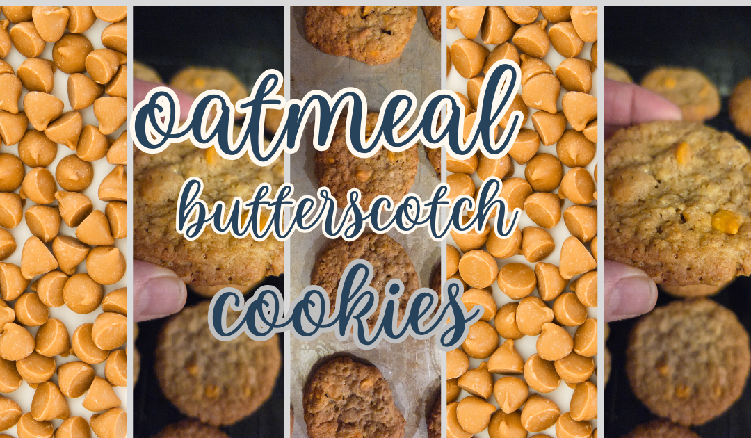 oatmeal butterscotch chip cookie recipe just like grandmas